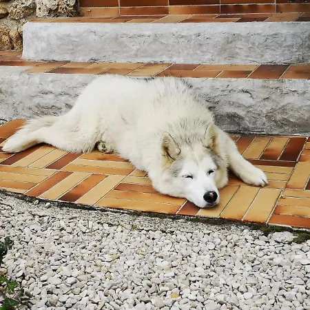 Vakantiehuis Le Temps D Pause A