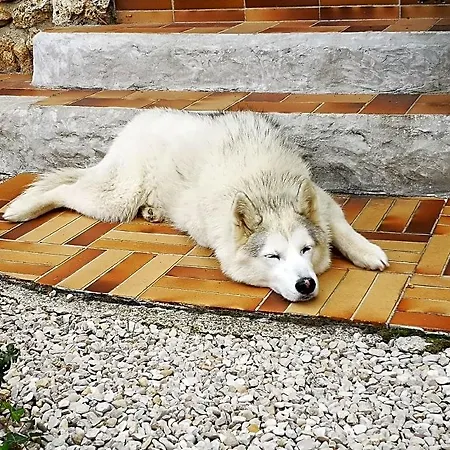 Le Temps D'une Pause A Boursault