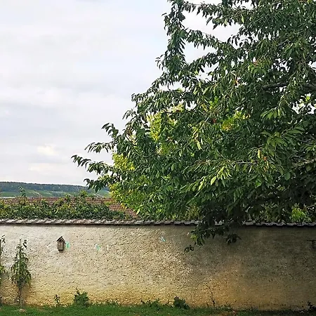 Le Temps D'une Pause A Дом отдыха Boursault