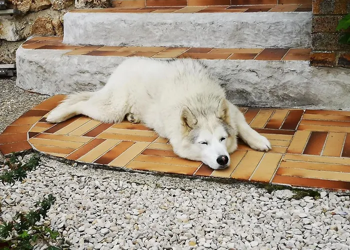 Hébergement de vacances Le Temps D Pause à